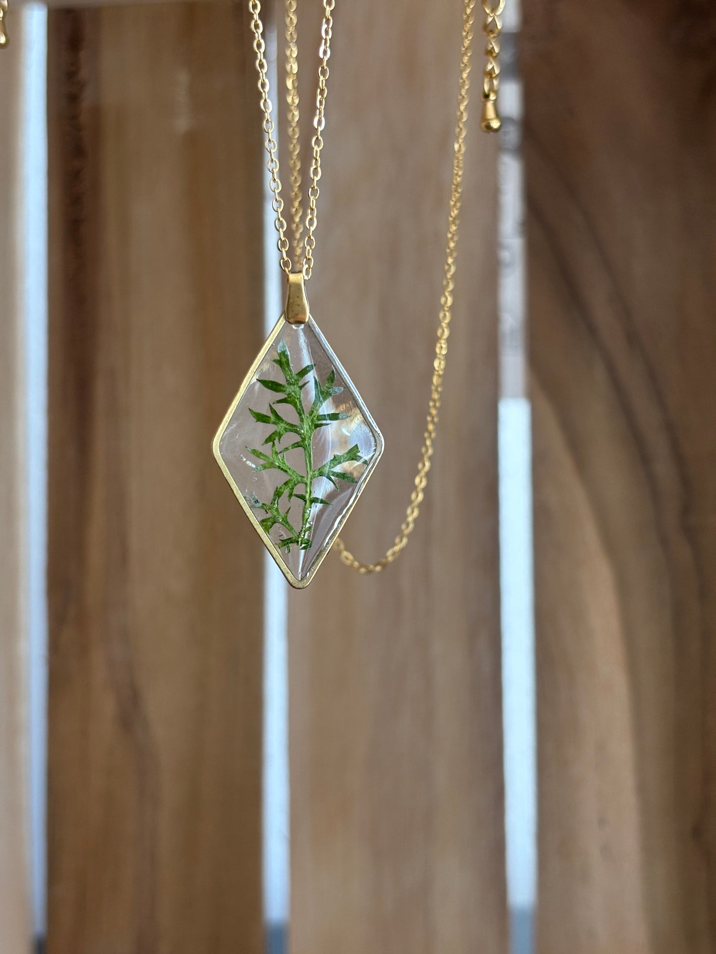 Collier - Édition limitée