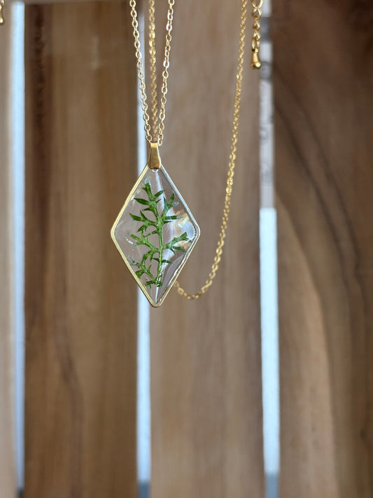 Collier - Édition limitée